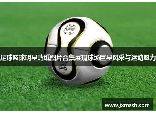足球篮球明星贴纸图片合集展现球场巨星风采与运动魅力